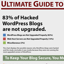 Ultimate Guide to Upgrade WordPress för nybörjare [Infograph]